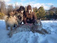 Свидание с рысью. екатеринбург.