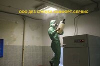 Как избавиться от тараканов, клопов, блох, муравьев