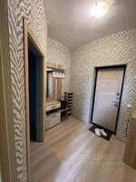 1-комн. квартира краснодар