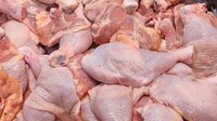 Мясо говядина, свинина, птица опт, производство