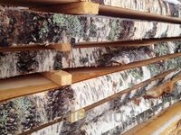 Доска обрезная береза сухая от производителя
