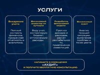 Финансовый директор/управленческий учет/финансист