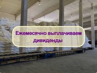 Инвестиции в оптовую торговлю сахаром, доход 80