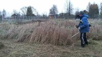 Покос травы бурьяна сухостоя