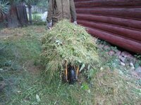 Покос травы бурьяна сухостоя