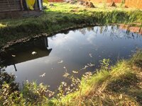 Пруды бассейны котлованы