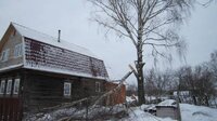 Спил деревьев кронирование