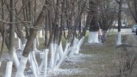 Уборка загородных участков