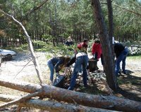Уборка загородных участков