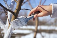 Уборка загородных участков