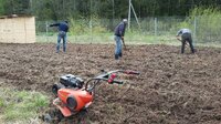 Вспашка целина мотоблок газоны культивирование