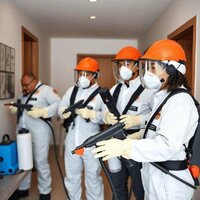 Комплексная дезинфекция и дератизация под ключ — без риска для з