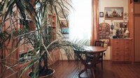 Семейный кирпичный дом 252 кв.м на 13 сотках ижс в отрадном