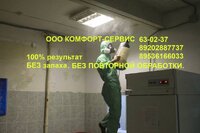 Уничтожение клопов и тараканов в орле холодным туманом