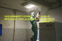 Уничтожение клопов, тараканов, блох, муравьев